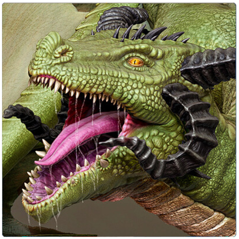 dragon work portfolio